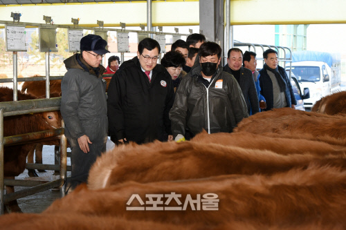 주낙영 경주시장, 신년 가축시장 찾아 현장밀착행정