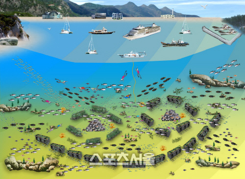 포항시,수산자원조성추진으로경쟁력있는포항바다실현