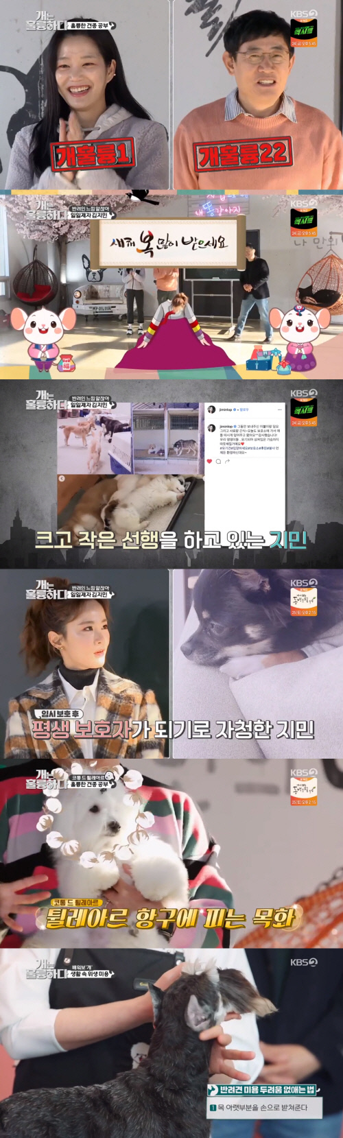 '개는 훌륭하다' 김지민, 일일제자로 등장...견종→훈련법 공부 도전[SS리뷰]