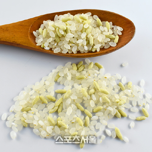 당박사쌀_메인이미지_3