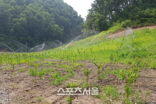 울진군, 밭작물 가뭄극복 관수시설 지원