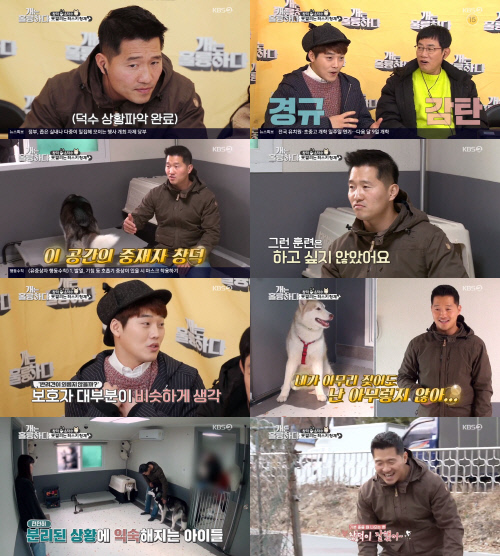 '개훌륭' 안방극장 울린 강형욱의 가슴 먹먹한 조언