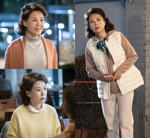 '한 번 다녀왔습니다' 차화연, '생활력 만렙' 국민 엄마로 안방 컴백