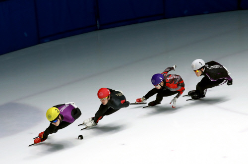 코로나19 확산으로 목동 쇼트트랙 세계선수권 연기