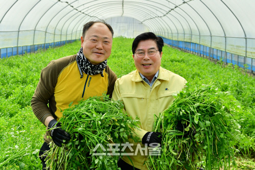 유두석 장성군수, 관내 미나리 재배농가 방문해 격려