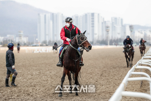 기획1 20년3월4일 서울경마공원 경주마 조교장면_1