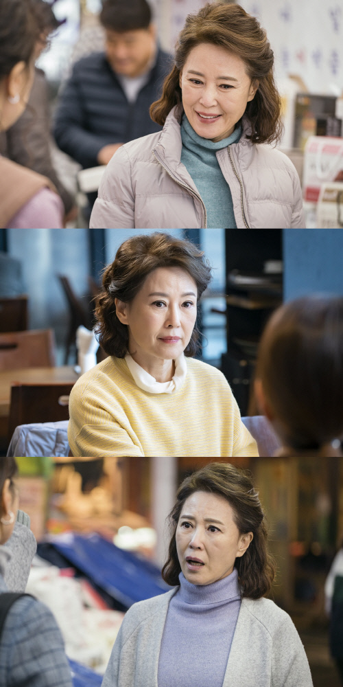 '한 번 다녀왔습니다' 차화연, "함께하지 않을 이유 없어" 드라마 향한 애정
