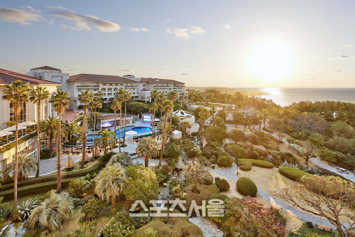 "코로나19 확산에 제주도 신혼여행지로 급부상"