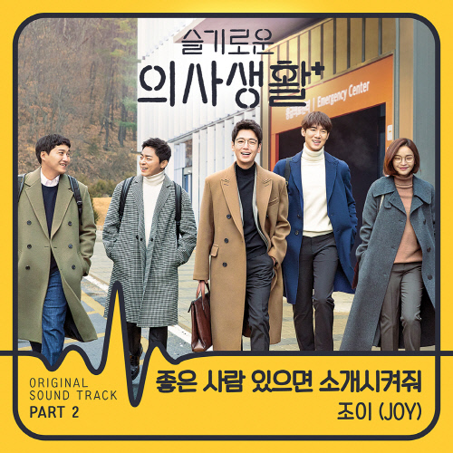 레드벨벳 조이, '슬기로운 의사생활' 두번째 OST 주인공 낙점