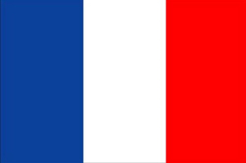 프랑스에서 코로나19 환자 돌보던 의사 감염돼 사망