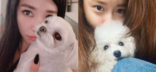 소녀시대 '찐우정'의 허그, 티파니 "인종차별 슬퍼"→윤아 허그로 화답