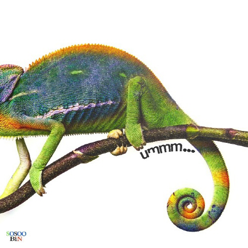 소수빈, 신곡 '나도 날 잘' 발매…"군 입대 선물"