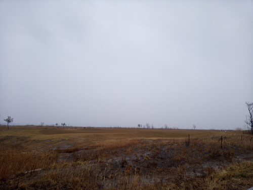 상가정보연구소는 '노는 땅' 수익형으로 활용하는 컨설팅 실시