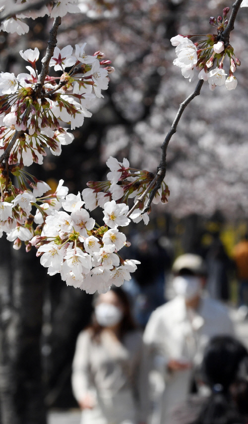 코로나19 일탈에 칼 뺐다. '자가격리 위반시 징역 1년 또는 벌금 1000만원'