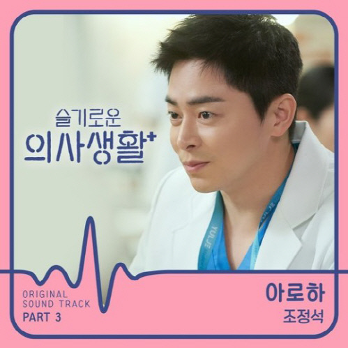 '슬기로운 의사생활' 조정석, 열연→OST까지 접수한 '만능캐'[SS스타]