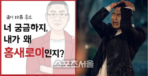 "원작자랑 박서준 대성통곡 예상" 홍준표 '홍새로이' 홍보에 팬들 발끈 [SS톡]