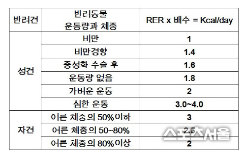 반려견 건강 유지하려면 사료도 중요하다 [김하국의 애니멀세대]