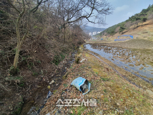 광주시 동구 사진