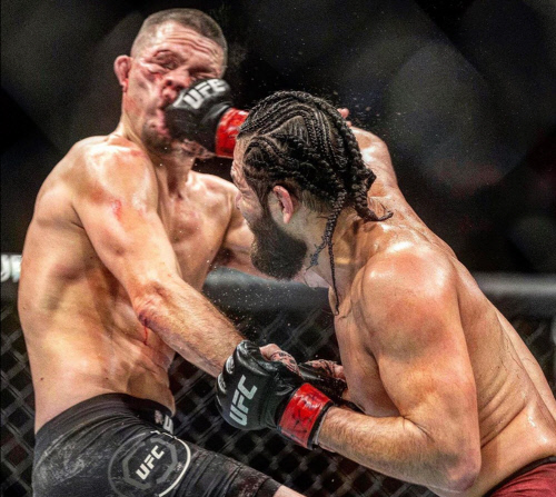 UFC를 전문으로 취재한 포토그래퍼 앤서니 카우시, 코로나19로 사망해