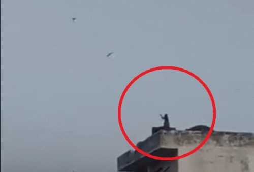 '인도의 연날리는 원숭이' 포착...人은 격리, 원숭이는 급속진화?