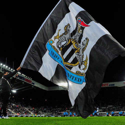 '오일머니 유입' 뉴캐슬, 대규모 영입 노린다…그리즈만-카바니 거론