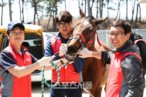 기획1 슬기로운 말 수의사 생활2
