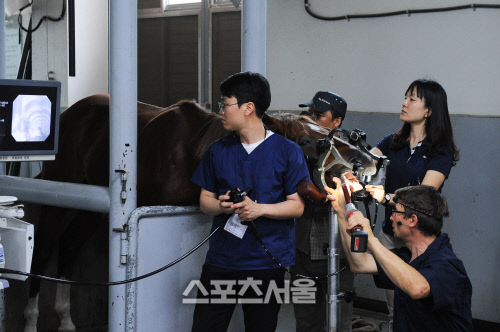 기획1 슬기로운 말 수의사 생활1