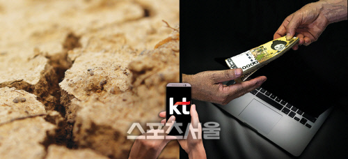 [단독]KT, 스마트팜 한다더니 농민 가슴에 피멍 "돈만 받고 설치는 나몰라라"