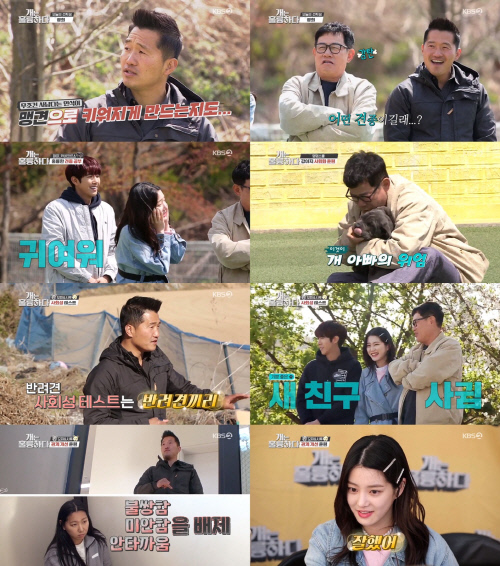 "과한 애정은 독"…'개훌륭' 강형욱, 현명한 다견 사랑법 전수