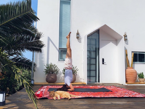 진재영, 뉴요커같은 일상. '머리서기의 정석' 요가로 여는 아침 [★SNS]