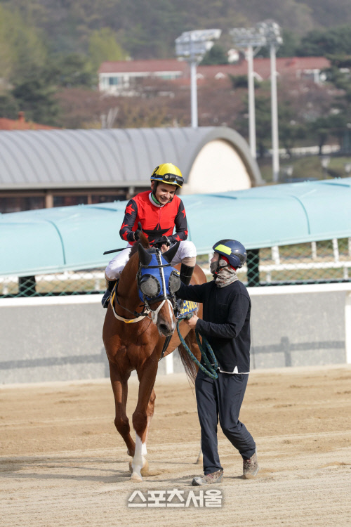 기획2 안토니오기수