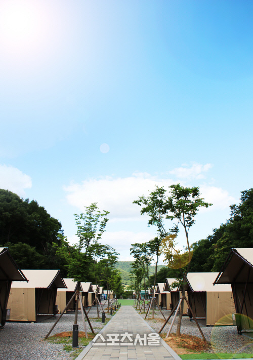 경기도팀업캠퍼스 내 더포레스트 캠핑장 '재개관'