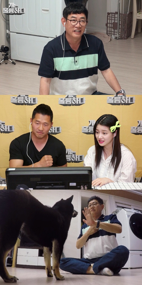 '개훌륭' 이경규, 공포의 시바견 앞에서도 망설임 無 '눈부신 성장'