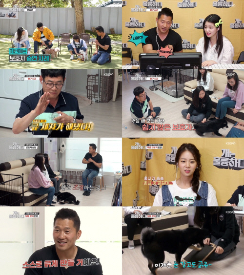 "사랑도 절제할 줄 알아야"…'개훌륭' 강형욱이 전한 현명한 보호자의 자세