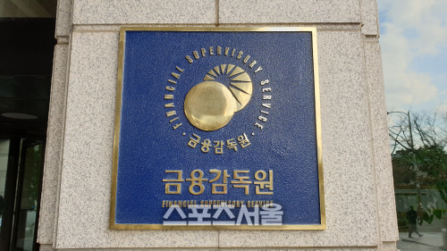 금융감독원