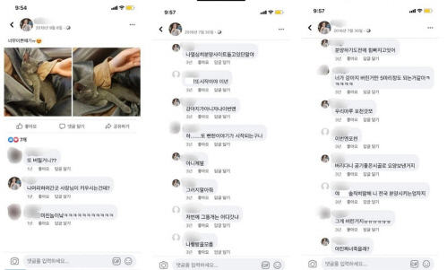 '개훌륭' 보더콜리 견주 상습 파양 의혹 "저번에 그 개는 어디갔냐" 대화본 유출