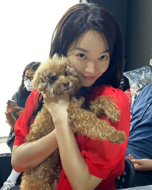 "이러니 ♥김우빈이 반하지" 신민아, 반려견과 함께 러블리한 미소[★SNS]