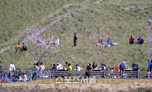 [SS포토]3일연속 만원관중 울산문수구장 \'좀 멀지만 외야 뒤 야산에서도 관전가능\'