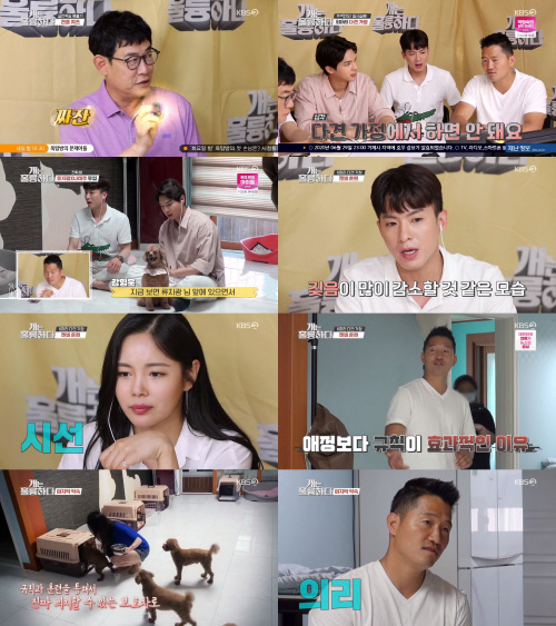 개훌륭