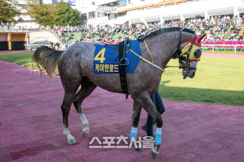 기획2 케이엔로드