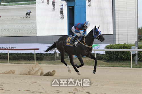 기획2 세이브더월드