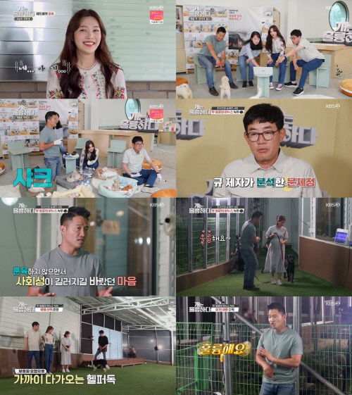 '개훌륭' 강형욱, "애정보다 중요한 건 반려견에 대한 이해"