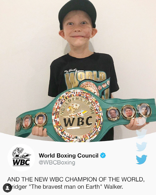 '세계 최연소 챔피언!' 동생을 구하기 위해 맹견과 사투한 6살꼬마 브릿저 워커, WBC 챔피언에 올라