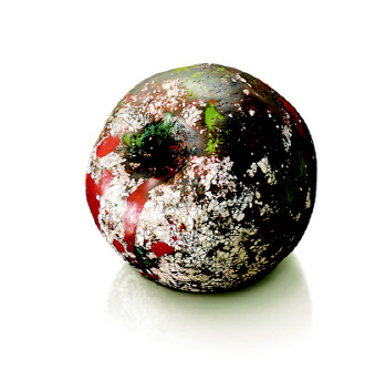 정채희-옻 사과 판화지에 피그먼트 프린트 69x74cm2019