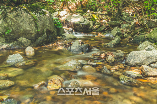 화천_비수구미생태길_011
