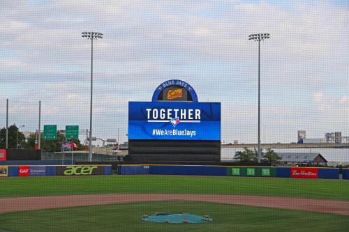 샬렌필드_토론토트위터