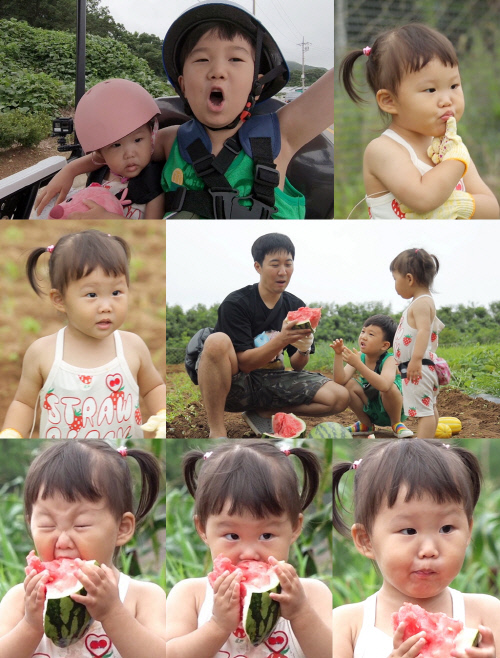 '슈돌' 도경완X연우X하영, 이번엔 자급자족 수업 '기대↑'