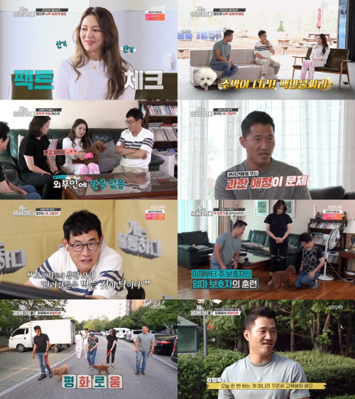 '개훌륭' 강형욱 "반려견 향한 무조건적 애정X연민은 독"
