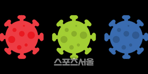 코로나11