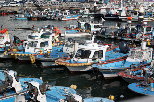 [오늘날씨]제8호 태풍 '바비' 제주 상륙, 강풍 폭우 특보. 7일 전국 영향권